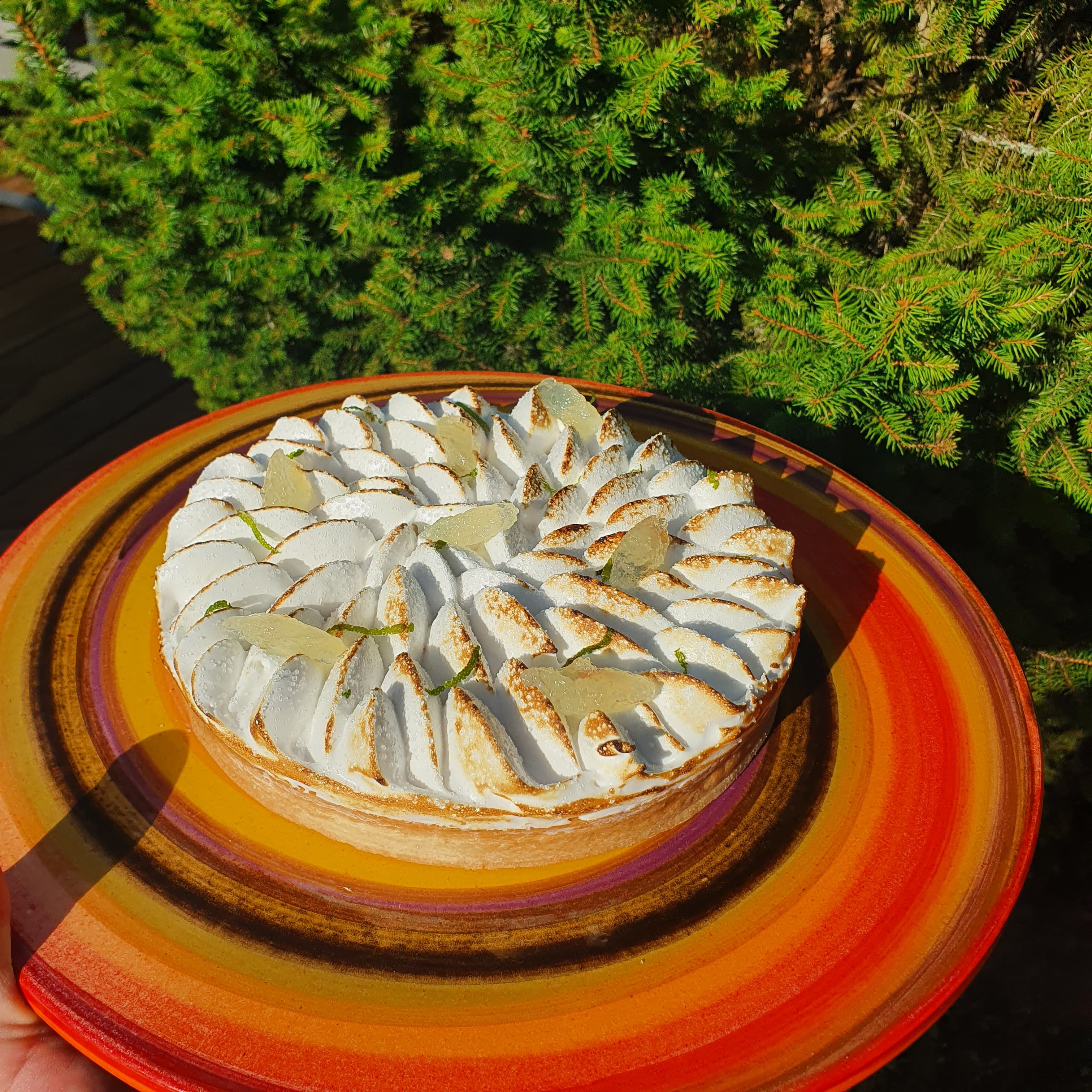 Tarte Jauhn lemon au citron et meringue flambée, servie sur une assiette colorée